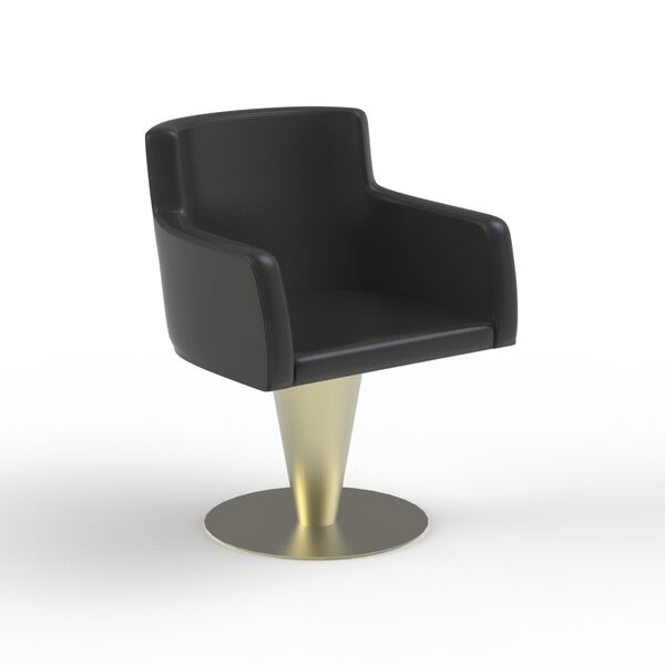 Armchair Hairdresser Leather_01