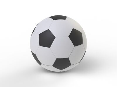 Soccer Classic Black And White Ball 01 3D Model