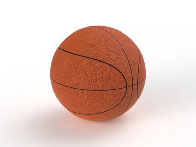 Ball Basketball 01 3D Model