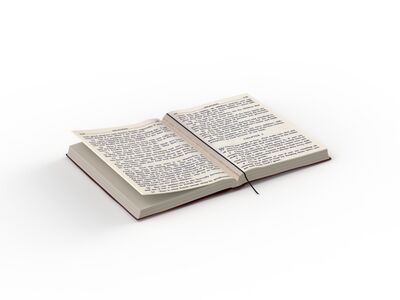Opened Book 01 3D Model