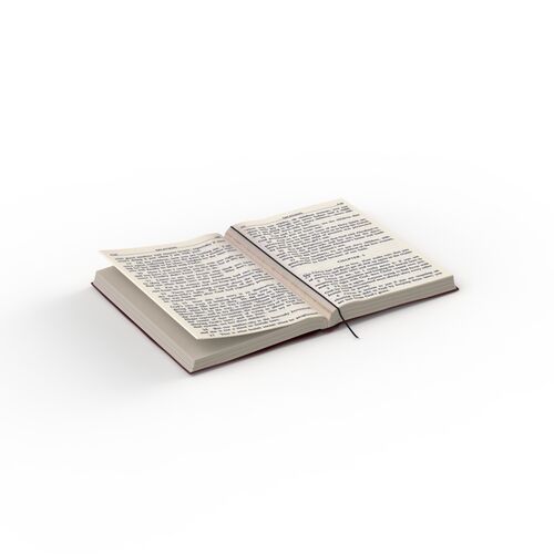 Book opened_01