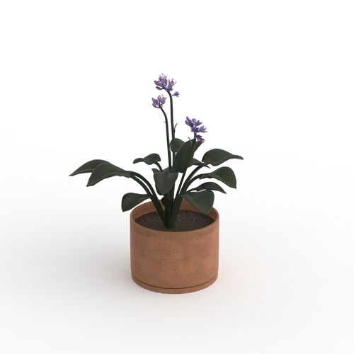 With Plant Flowerpot 01 3D Model