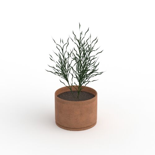 With Plant Flowerpot 02 3D Model