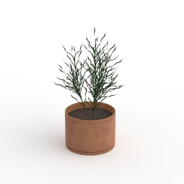 Flowerpot With Plant_02