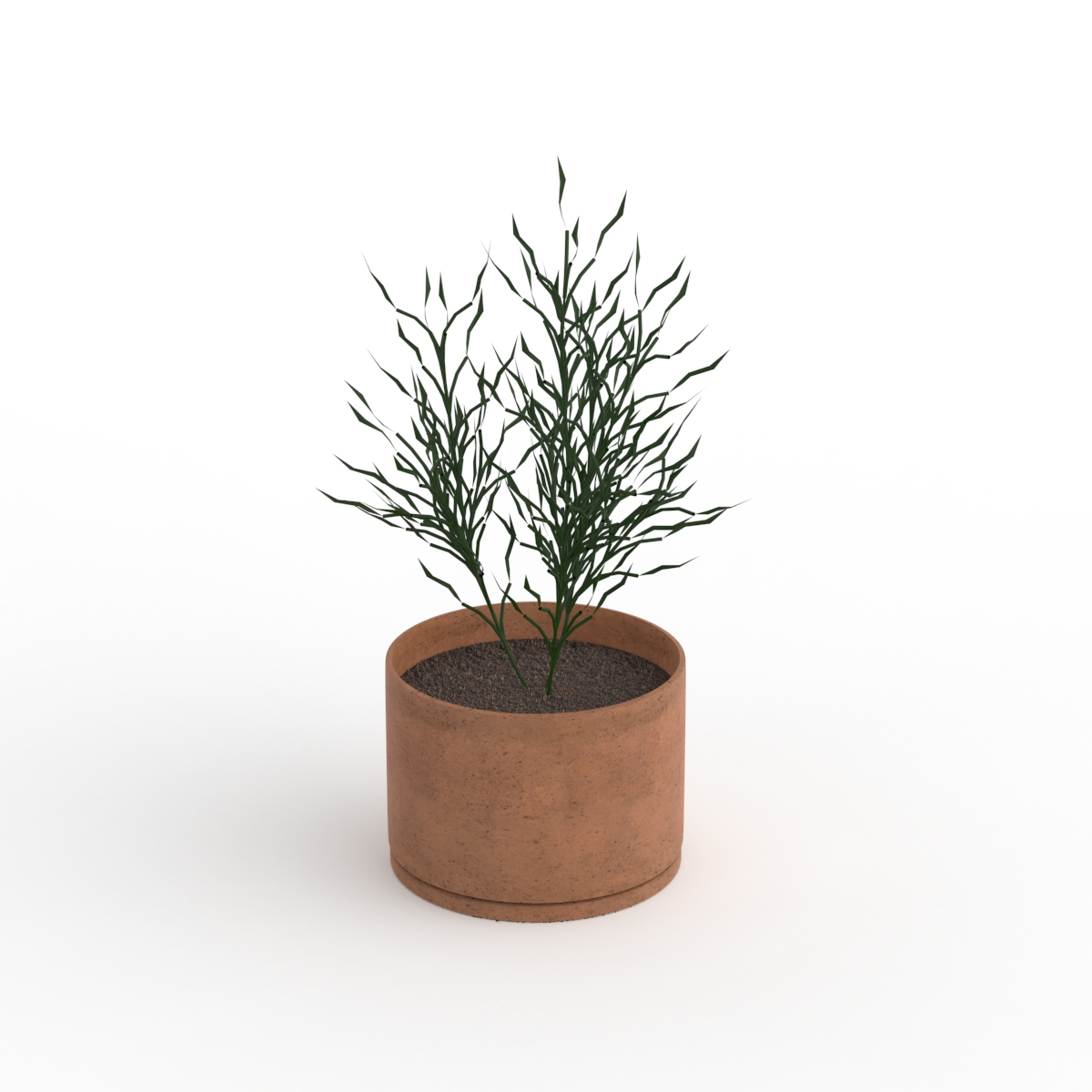 With Plant Flowerpot 02 3D Model