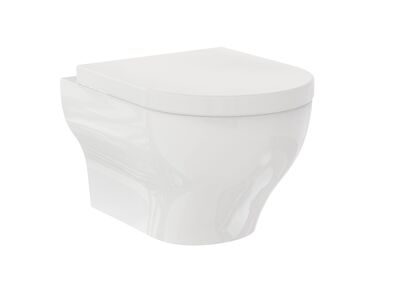 Olympia Ceramic Clear Wall Hung WC 3D Model