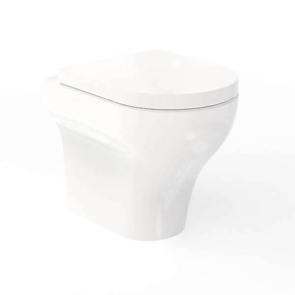 Clear WC 3D Model
