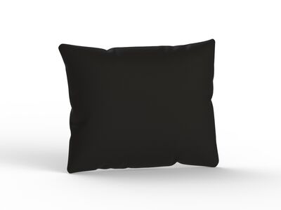 Squared Fabric Black Pillow 01 3D Model