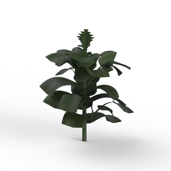 Plant Green_01