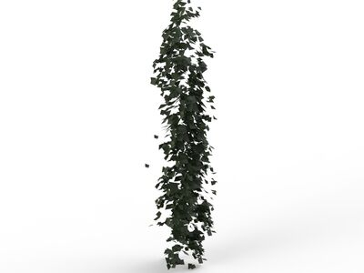 Climbing Plant 01 3D Model