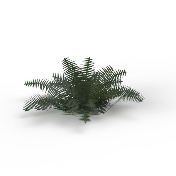 Plant Grass_05