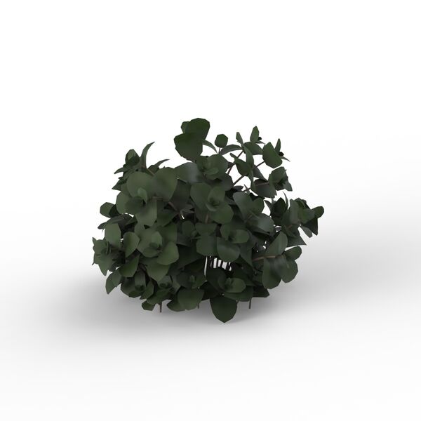 Plant Green_06