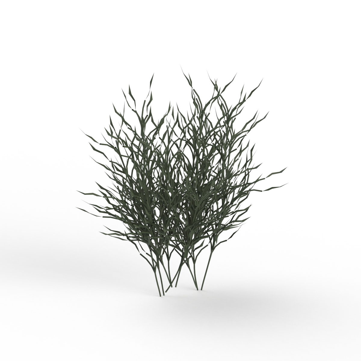 Grass Plant 04 3D Model