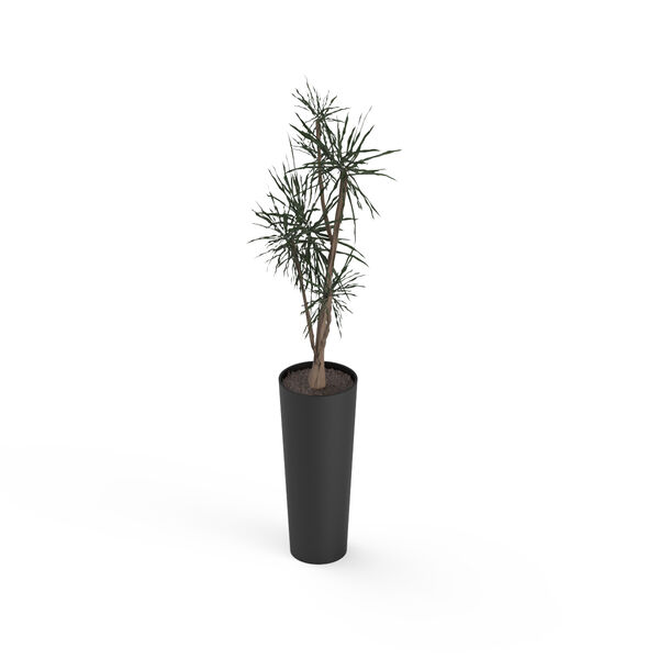 Pot and Plant Black Vase_01