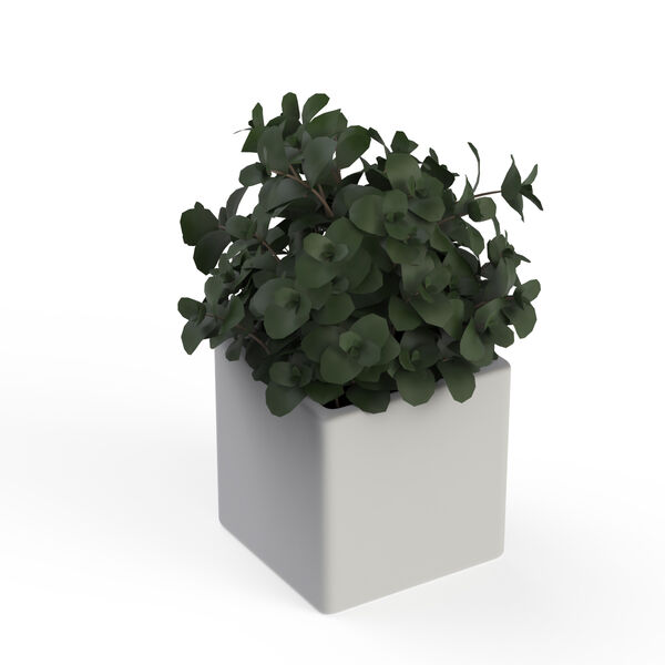 Pot Ceramic Squared and plant_05