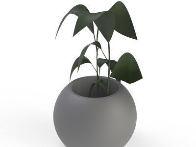 Pot Ceramic Gray and Plant_14