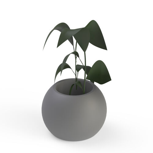 Pot Ceramic Gray and Plant_14