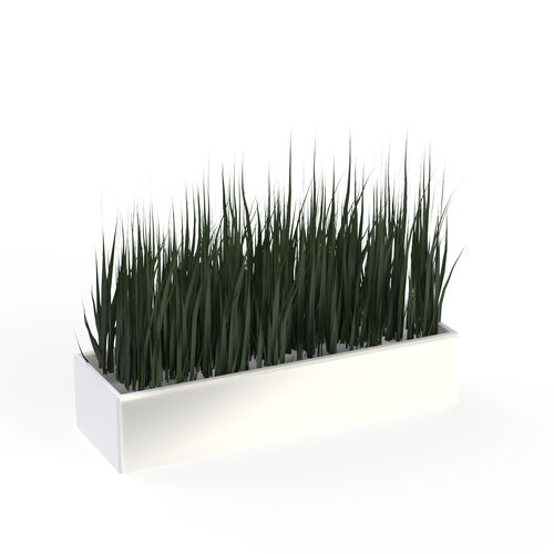 Pot Ceramic White Rectangular and plant_16