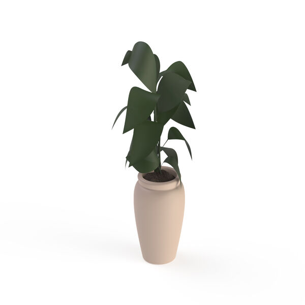 Pot Ceramic and plant_13