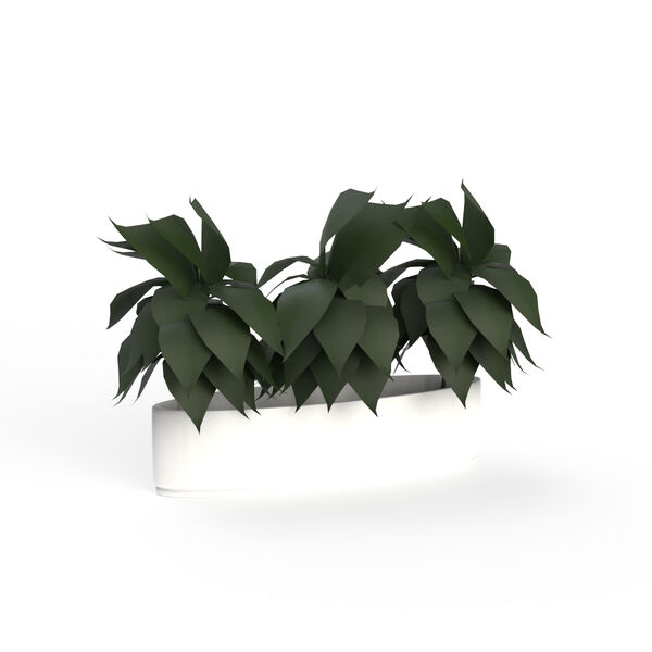 Pot Ceramic White and plant_07