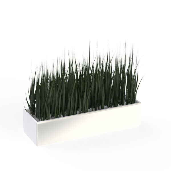 Pot Ceramic White Rectangular and plant_16