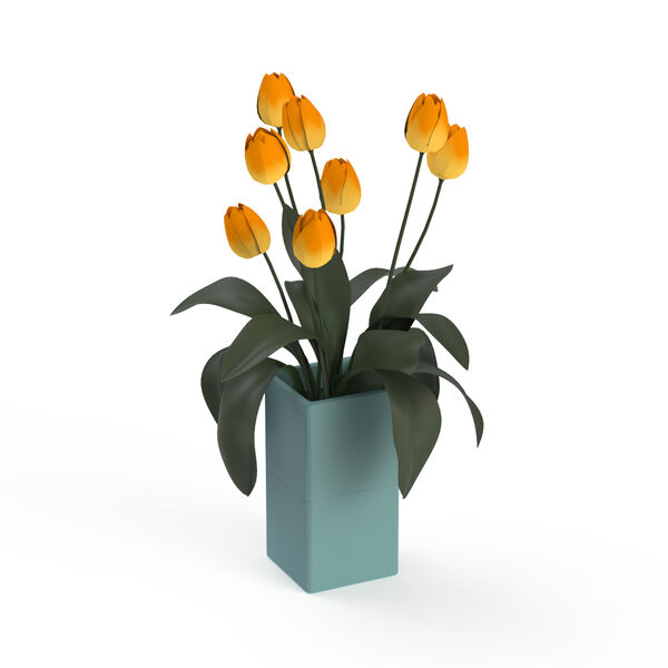 Pot Squared and Flowers_18