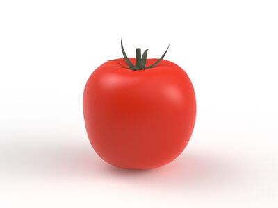 Red Tomato 01 3D Model