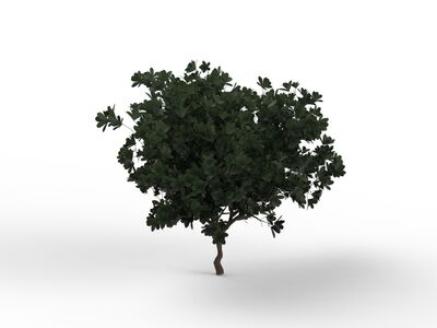 Leaves Dark Green Tree 02 3D Model