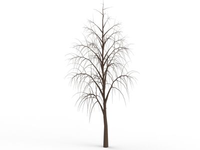 Winter Tree 06 3D Model