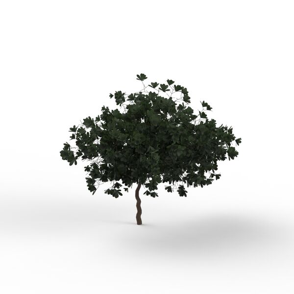 Tree Leaves Dark Green_01