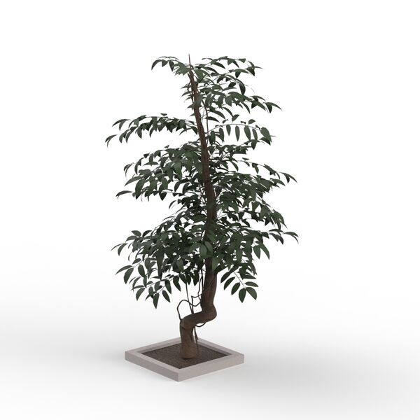 Tree Leaves Dark Green_07