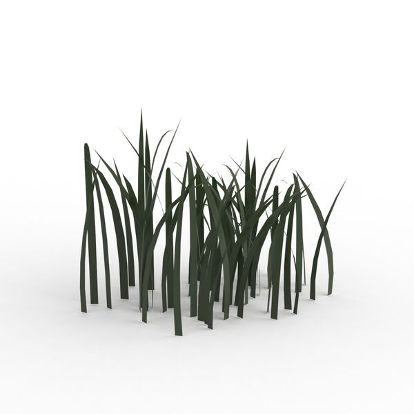 Grass_01