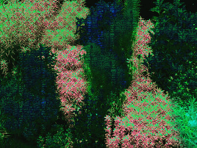 Paperwall Hedge 3D Model