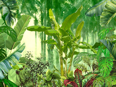 Paperwall Hulula 3D Model